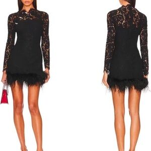 Sau Lee Mara Lace and Feather Dress size 4